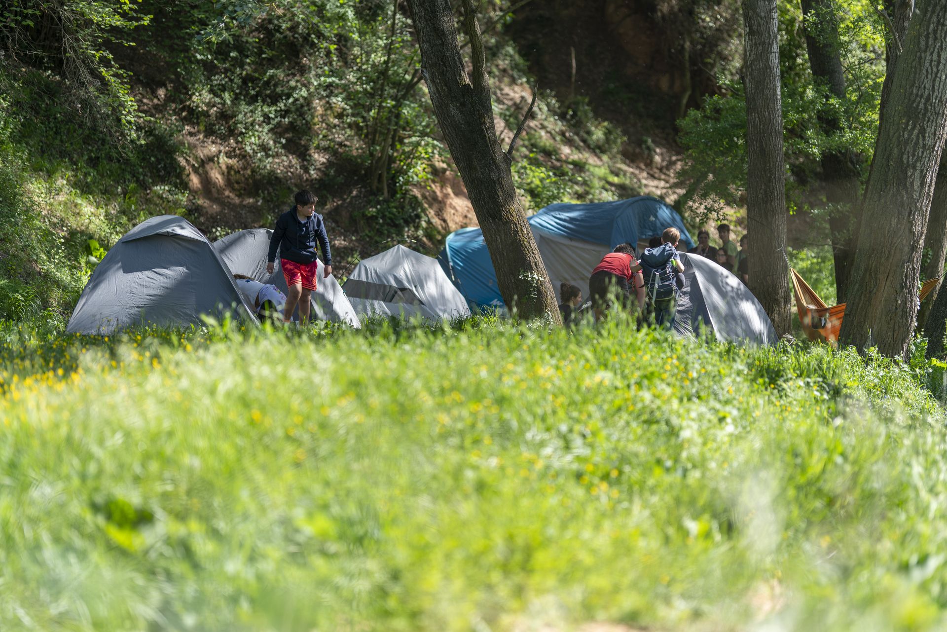 Niños-cau-bosque-acampada-capuxi-campamento Niños saliendo de las tiendas en las que han pasado la noche