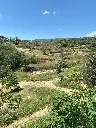 vistes-capuxi-cardedeu-bosc-feix-terreny-natura.webp