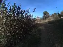 Sota Nogueres camí del Bosc.webp
