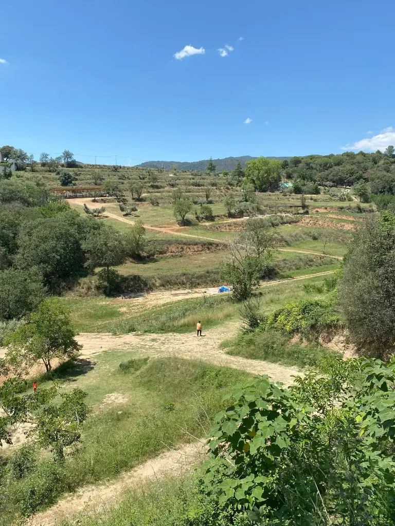 Sota Nogueres (4).webp