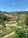 Sota Nogueres (4).webp