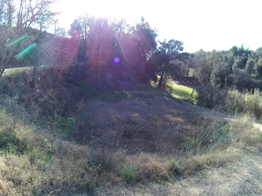 Sota Nogueres.webp