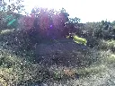 Sota Nogueres.webp