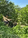 Les Nogueres.webp
