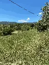 Terreny d'acampada - La Feixa del Pou