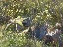 Nogueres (3).webp