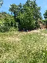 Terreny d'acampada - Les Nogueres