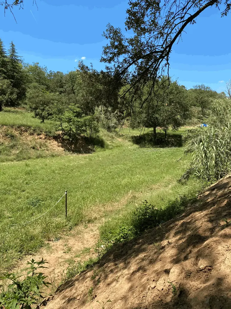Terreno de acampada - Can Puigoriol Gran
