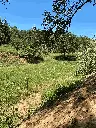 Terreny d'acampada - Can Puigoriol Gran