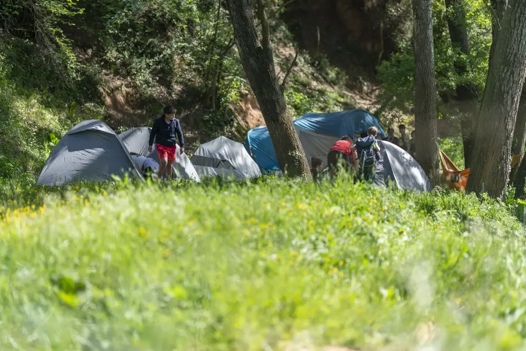 Terreno de acampada - Las Nogueras