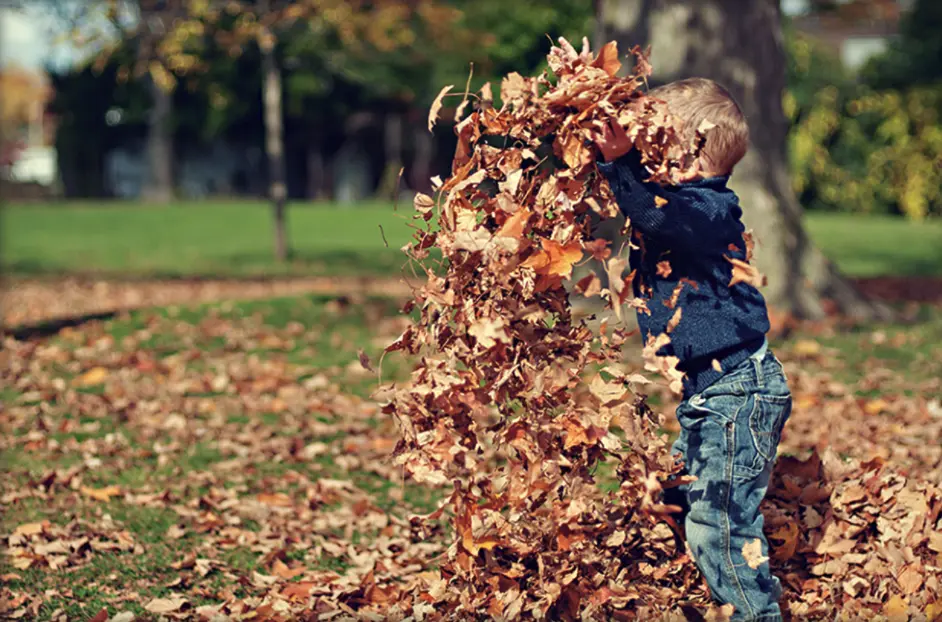 Talleres de naturaleza: El otoño ha llegado al bosque