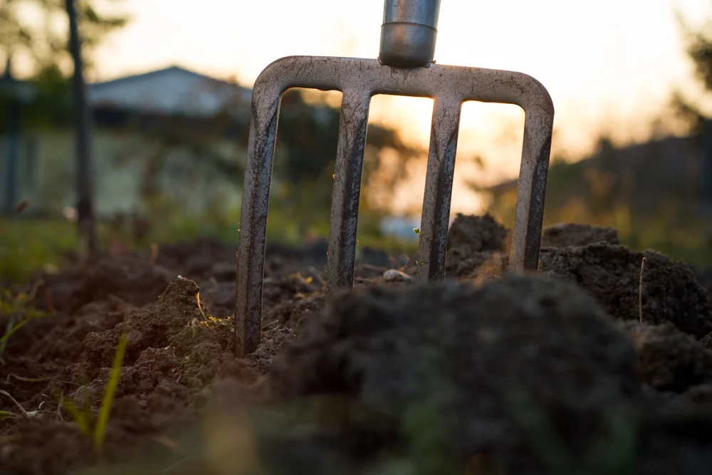 Talleres de naturaleza: Herramientas del campo