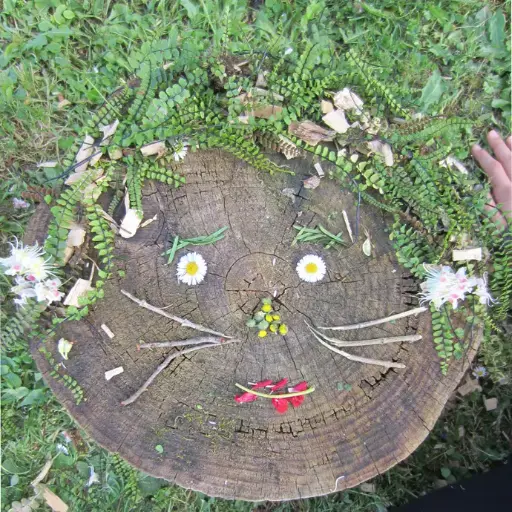 Talleres de naturaleza: Land art