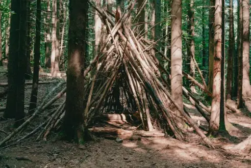 Talleres de naturaleza: Cabañas en el bosque