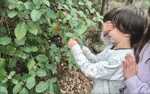 Juegos y gincanas: El bosque con los cinco sentidos